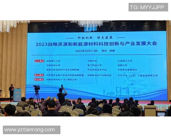 成都飞盘队个人能力深度分析与发展潜力探讨